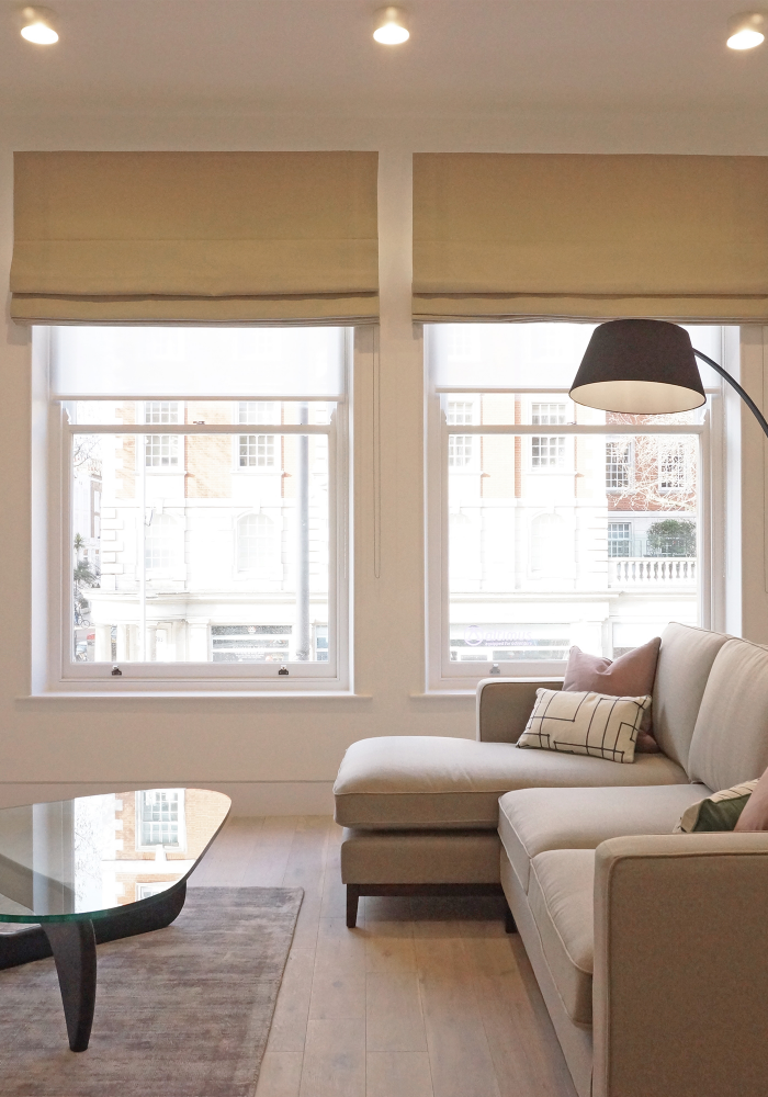 Shows a side view of the modern and spacious living area at Pocket Living
