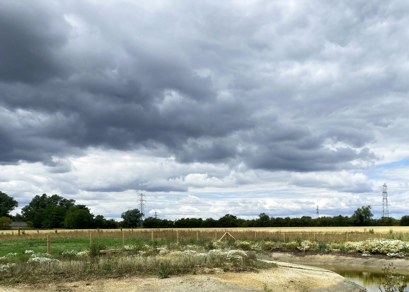 Swift Tower, Site Photograph